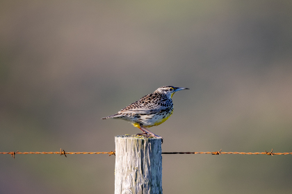 如何辨别博彩网站的资格合规性及防诈骗措施