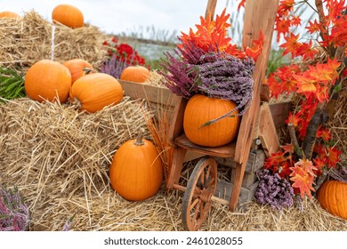 如何选择可信的博彩优惠网站与常见陷阱分析