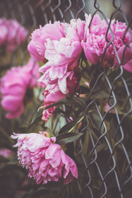 天地棋牌游戏高人气活动福利多多等你来参与