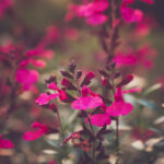 489开奖前后关联全解析:揭秘中奖号码的隐藏规律 39d56l0dvj