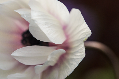 ESPN体育赛事高清在线直播观看指南 ESPN体育赛事高清在线直播观看指南