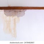 202540期足彩开奖结果最新公布 aasst6