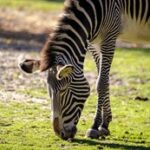 20253d开奖第271期开奖结果最新公布 d4rhg7