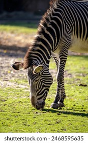 20253d开奖第271期开奖结果最新公布 20253d开奖第271期开奖结果最新公布