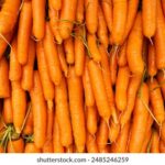 2025317期开奖结果公布最新号码揭晓 kp6usr62o6