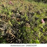 48222期现场开奖结果最新公布,大奖花落谁家? lu1rgou