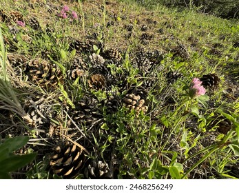 48222期现场开奖结果最新公布,大奖花落谁家? 48222期现场开奖结果最新公布,大奖花落谁家?