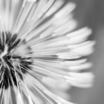 2025326期开奖结果正式公布,幸运号码揭晓 rikjqa0