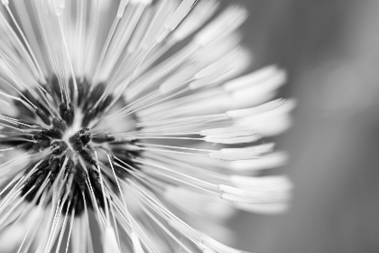 2025326期开奖结果正式公布,幸运号码揭晓 2025326期开奖结果正式公布,幸运号码揭晓