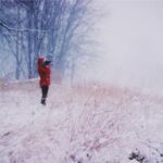 2025342期开奖结果最新公布,快来看看你中奖了吗? vqn62ht