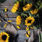 20253期彩票开奖查询及最新中奖号码公布 xl24t1p