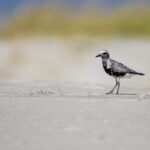 202563期最新开奖结果已公布,速来查看! y0uzry8